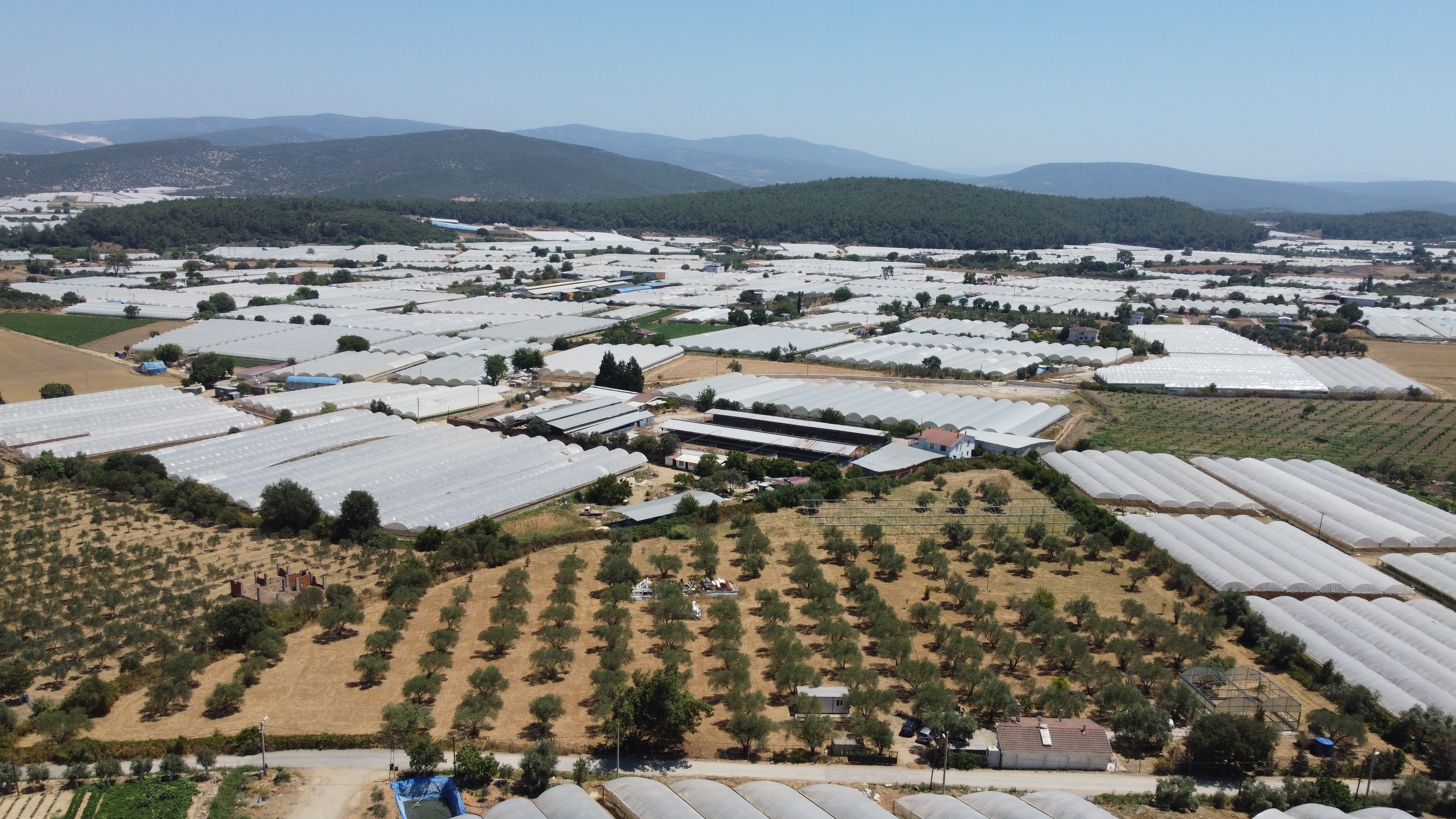 LOCATE'DEN MENDERES ÇAMÖNÜNDE EŞİ BULUNMAZ ARAZİ VE ÇİFTLİK EVİ